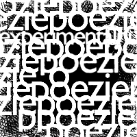 Diplomová práce: Experimentální poezie