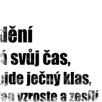 Brána času